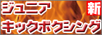 ジュニアキックボクシング
